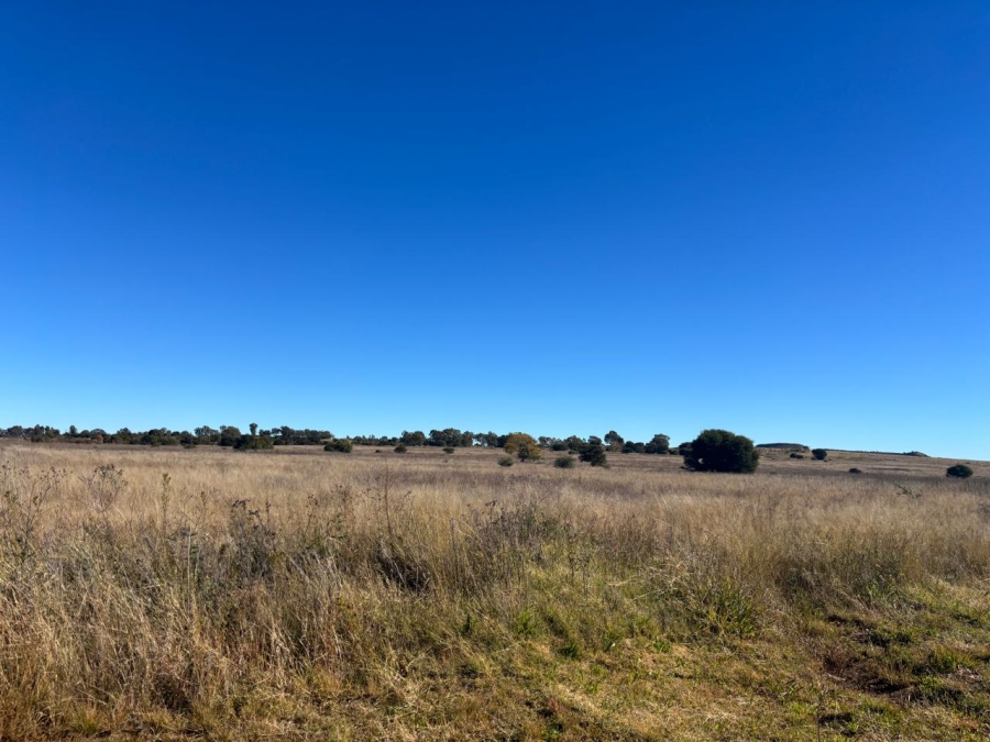 Commercial Property for Sale in Thaba Nchu Free State